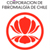Corporación de Fibromialgia de Chile